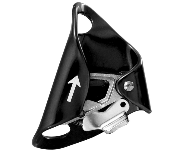 ISC Chest ascender