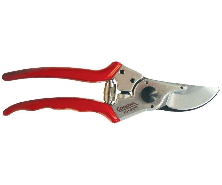 Corona bypass secateurs (1