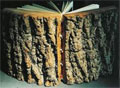 Arborist Directory