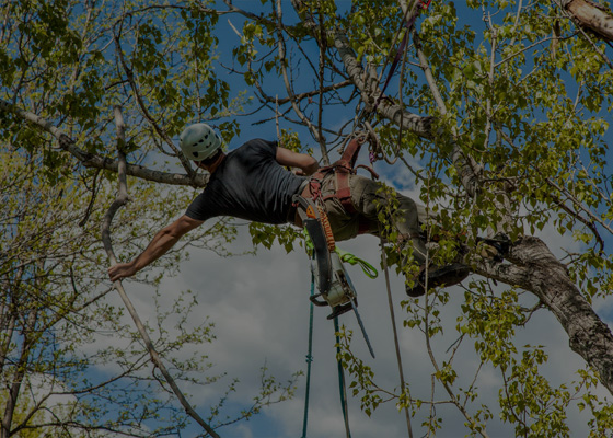 Climbing Equipment