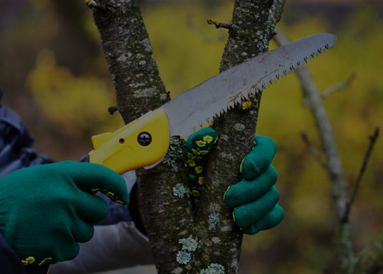 Forestry Equipment