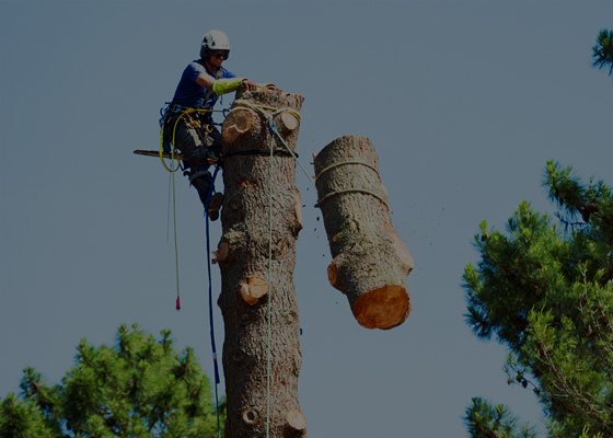 Lowering & Rigging