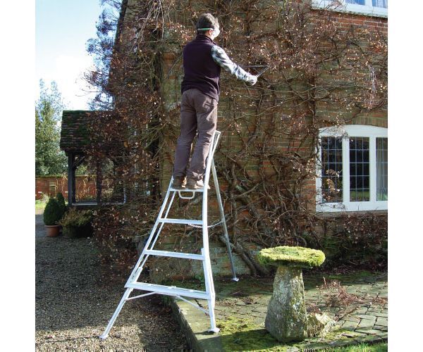 paio 3 leg adjustable professional action